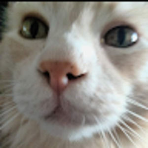 Meet your Posher, Audra